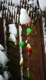 IMG_0727.jpg