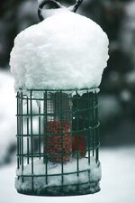 IMG_0699.jpg