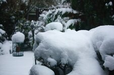 IMG_0698.jpg