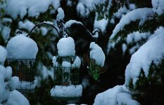 IMG_0620.jpg
