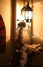 IMG_0599.jpg