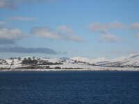IMG_7011.jpg