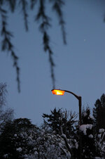 IMG_4464.jpg
