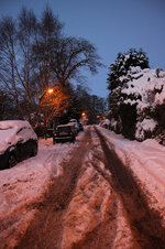 IMG_4479.jpg