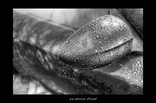 Z4-Mirror-frost-framed.jpg Z4-Mirror-frost-framed.jpg