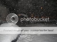 IMG_0665.jpg