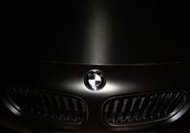 S1031068pub.jpg
