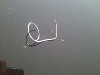 2010-12-10174416.jpg