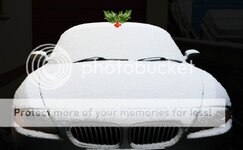 Festive.jpg Festive.jpg