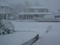 IMG_7413.jpg