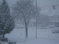 IMG_7409.jpg