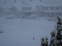 IMG_7401.jpg