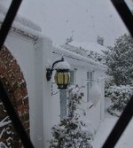 IMG_7397.jpg