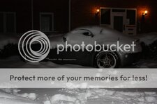 IMG_1295.jpg