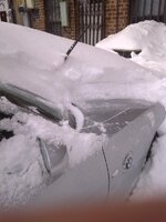 IMG-20110112-00016.jpg