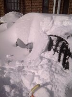 IMG-20110112-00017.jpg