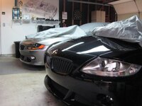 IMG_9481.jpg
