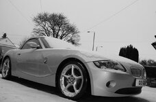 IMG_0878-1.jpg