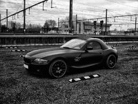 S1031493bis.jpg