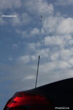 chopper-rescue1-reduced.jpg chopper-rescue1-reduced.jpg
