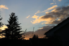 IMG_5243.jpg
