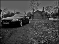 IMG_1335.jpg IMG_1335.jpg
