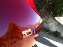 IMG_0217.jpg