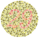 29_colour_290x285.jpg