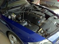 IMG_0141.jpg