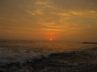 IMG_0480.jpg
