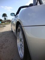 DSC01617.jpg