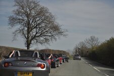 NW115a.jpg