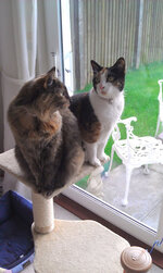 IMAG0117.jpg