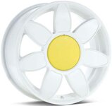 beetle_daisy_wheels_lg.jpg