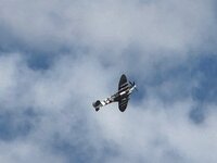 IMG_6609.jpeg