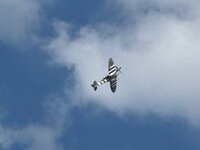 IMG_6611.jpeg
