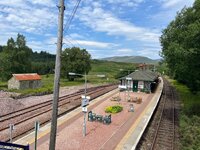IMG_0240.jpeg