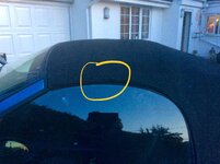 IMG_1529.jpeg