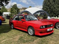 IMG_6681.jpeg