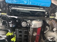 IMG_7300.jpeg