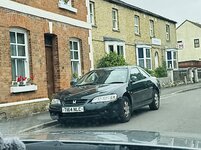 IMG_6886.jpeg