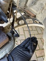 IMG_4940.jpeg