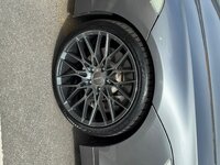 IMG_0642.jpeg