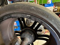 IMG_0255.jpeg