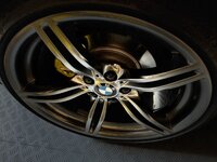 IMG_3716.jpeg