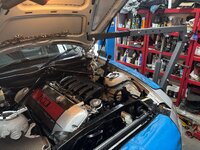 IMG_7317.jpeg