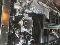 IMG_7327.jpeg