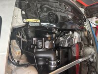 IMG_7335.jpeg