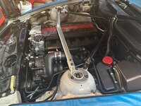 IMG_7336.jpeg