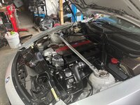 IMG_7337.jpeg